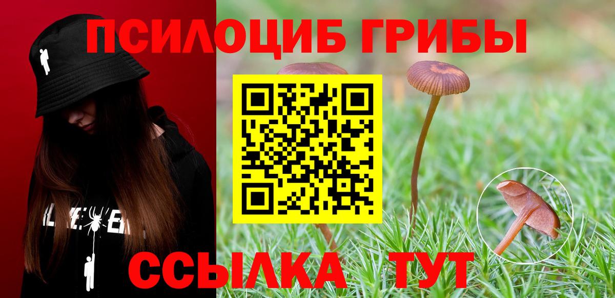 Псилоцибиновые грибы ЛСД  Вход с VPN  Заволжье 